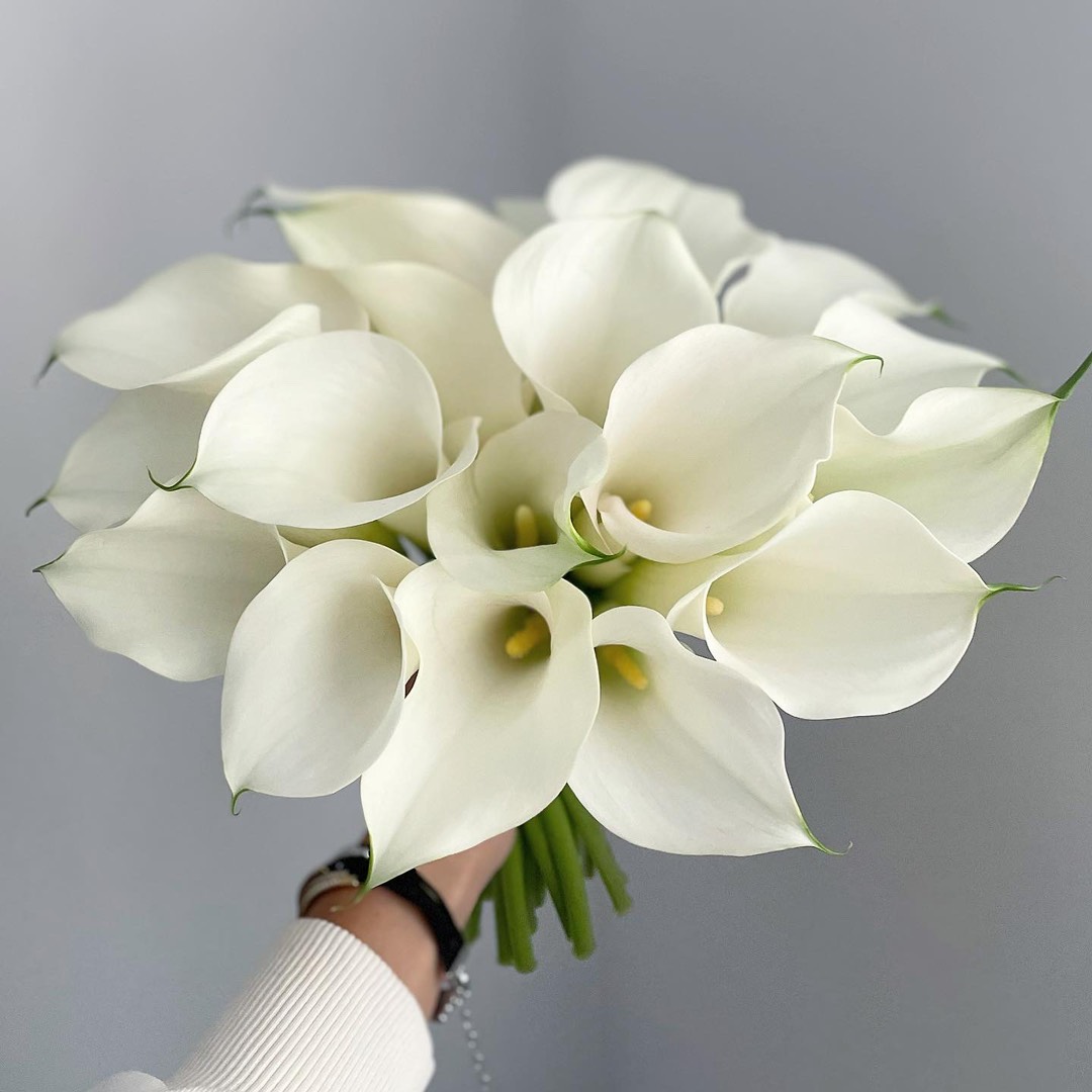 Buchet de cale albe